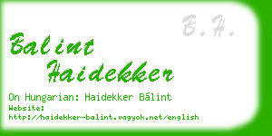 balint haidekker business card